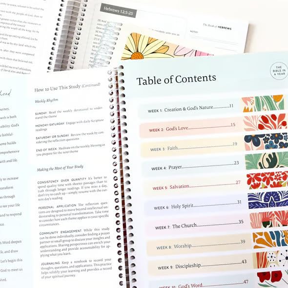 The Bible In A Year (52-Week Study Journal)