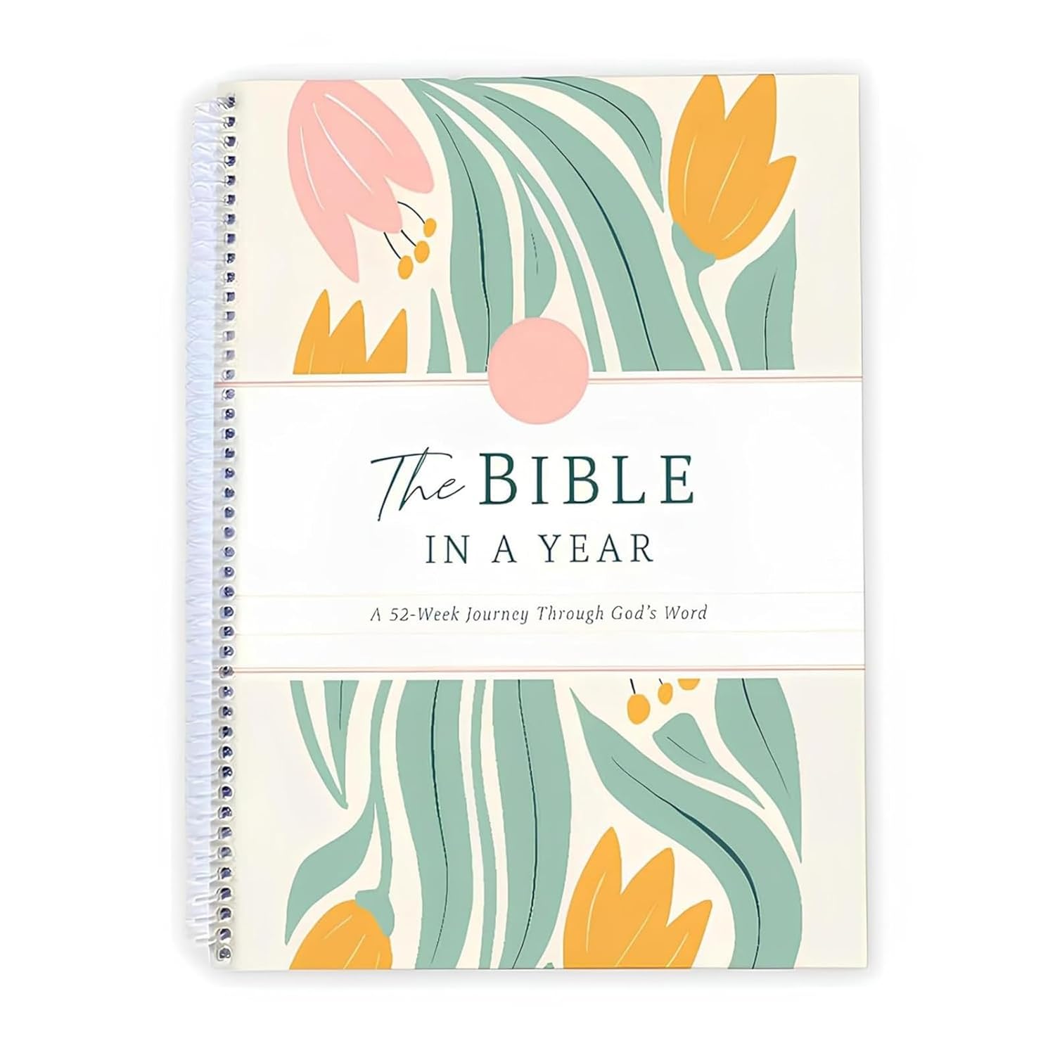The Bible In A Year (52-Week Study Journal)